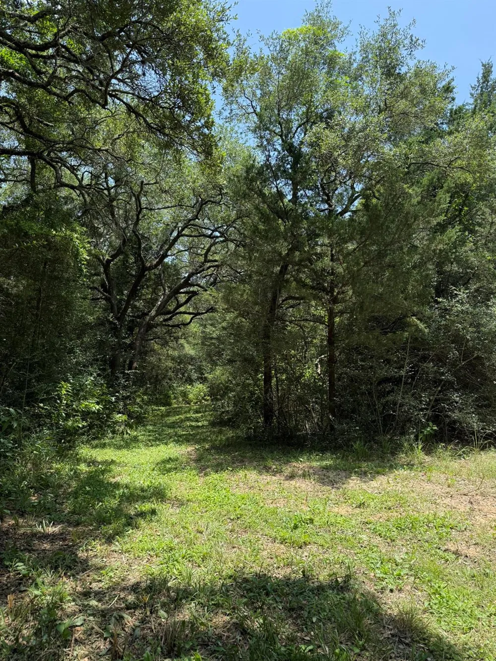 Rubin Lee Road Cat Spring, TX 78933