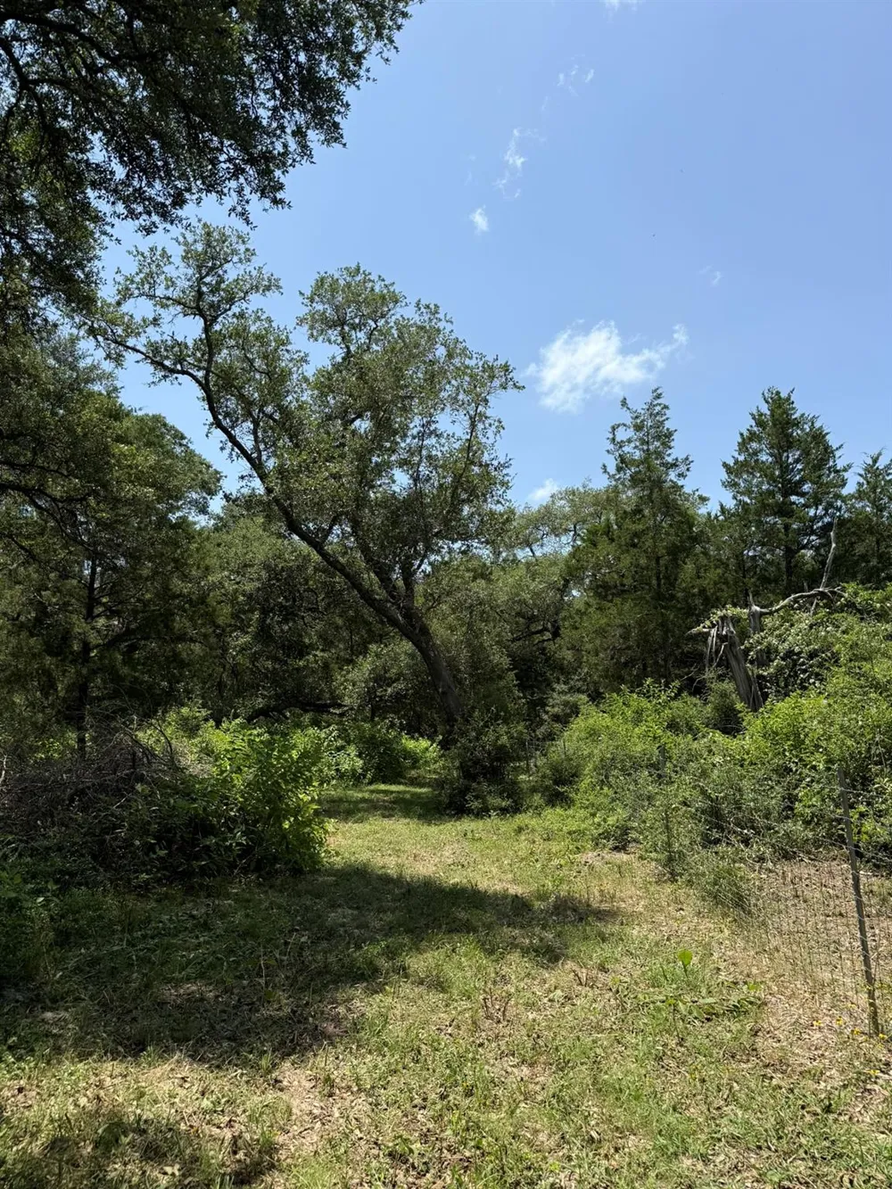 Rubin Lee Road Cat Spring, TX 78933