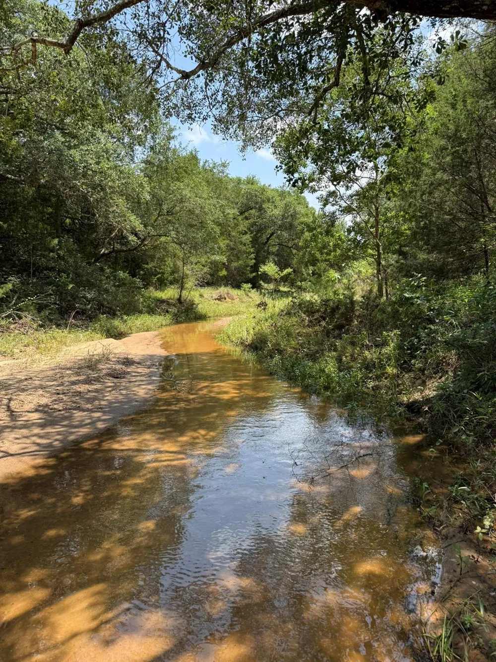 Rubin Lee Road Cat Spring, TX 78933
