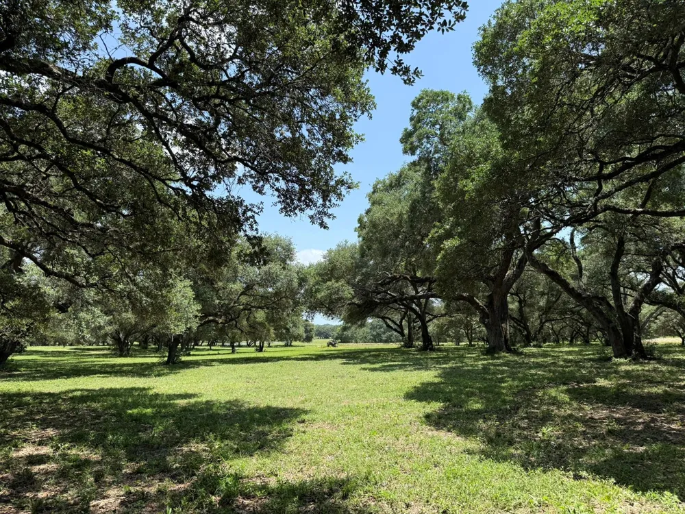 Rubin Lee Road Cat Spring, TX 78933