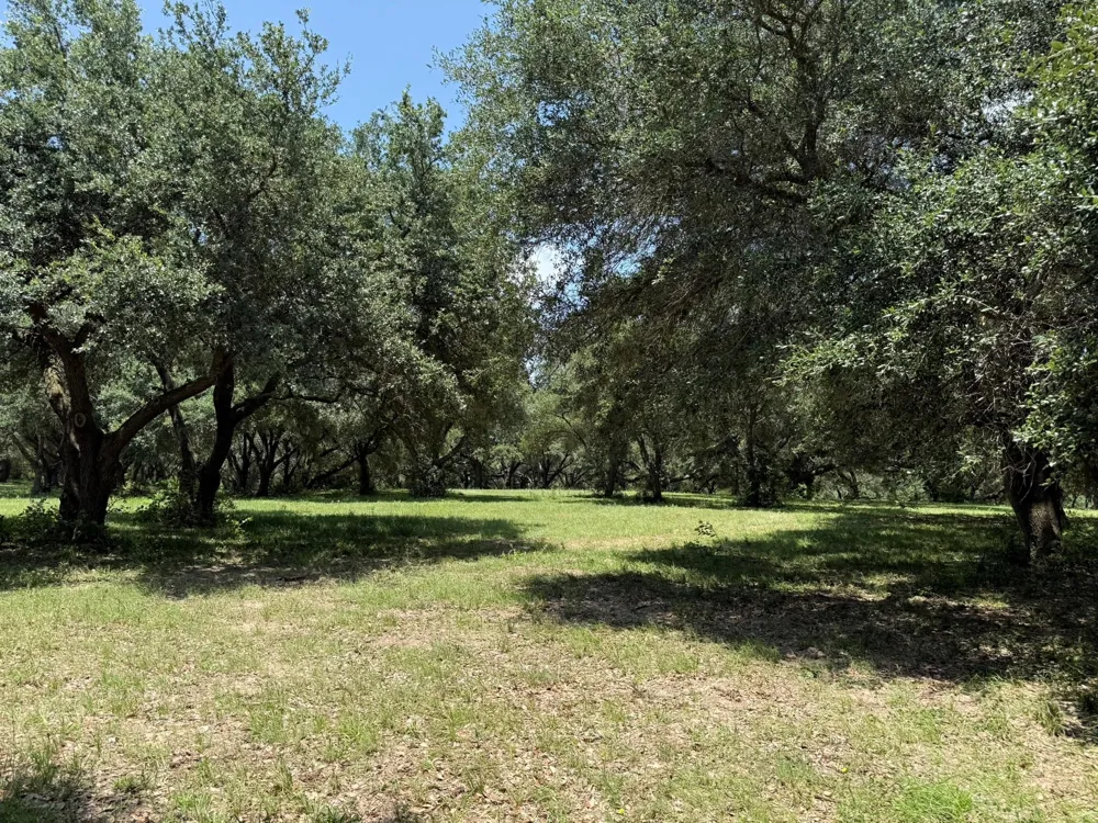 Rubin Lee Road Cat Spring, TX 78933