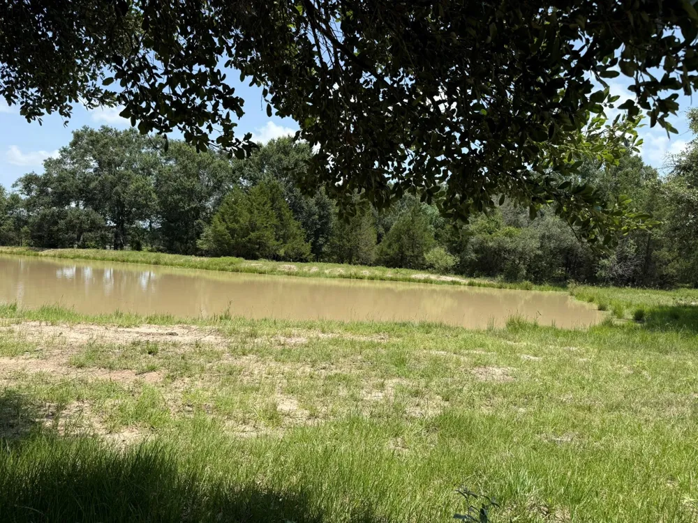 Rubin Lee Road Cat Spring, TX 78933