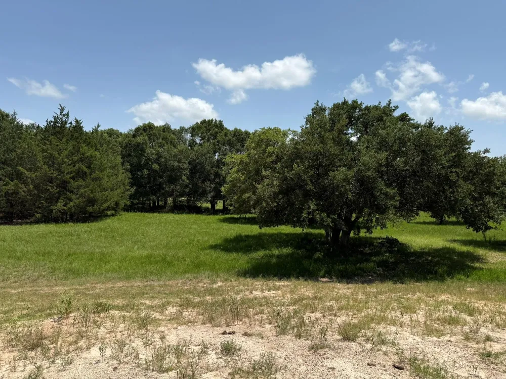 Rubin Lee Road Cat Spring, TX 78933