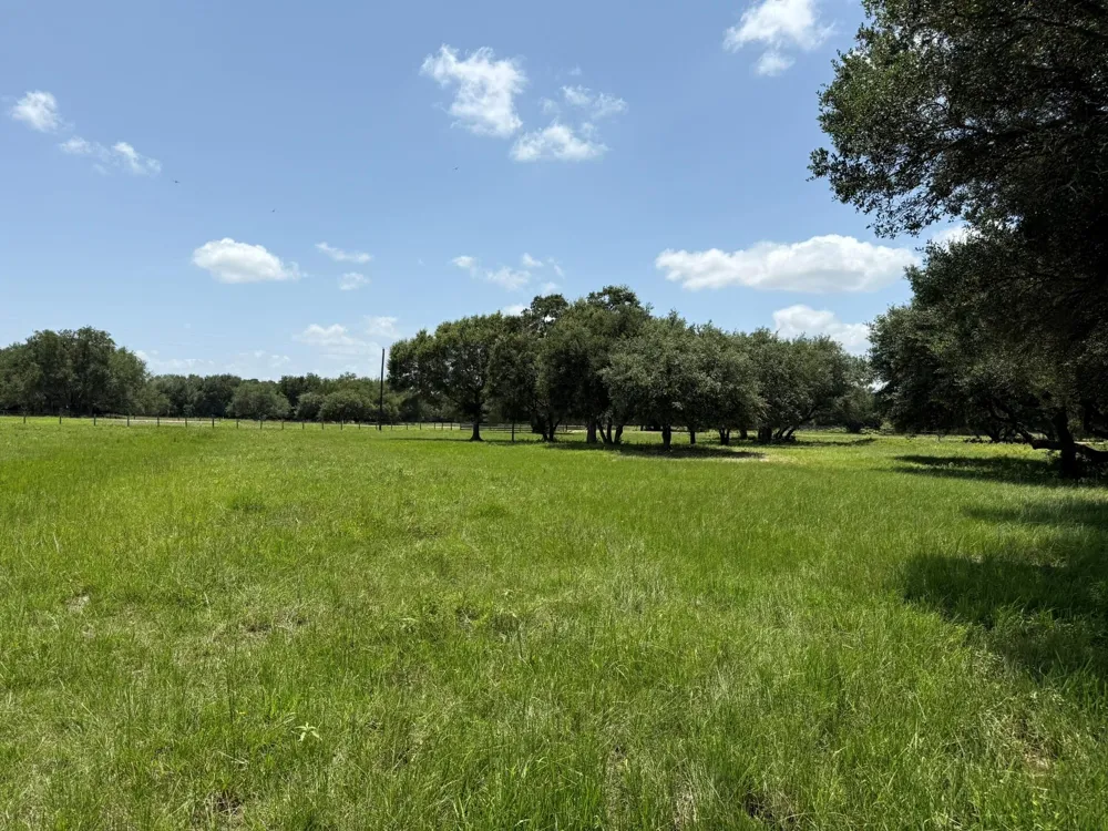 Rubin Lee Road Cat Spring, TX 78933