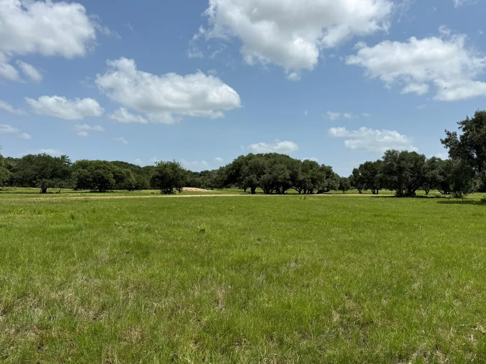 Rubin Lee Road Cat Spring, TX 78933