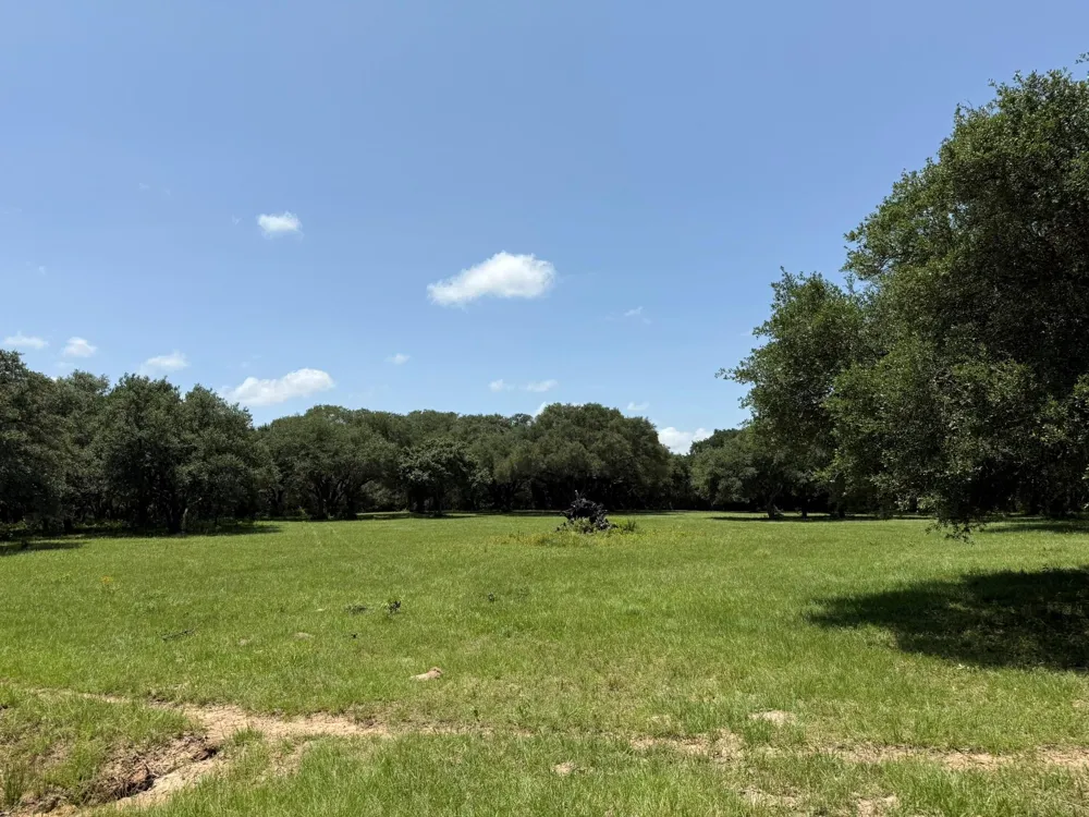 Rubin Lee Road Cat Spring, TX 78933