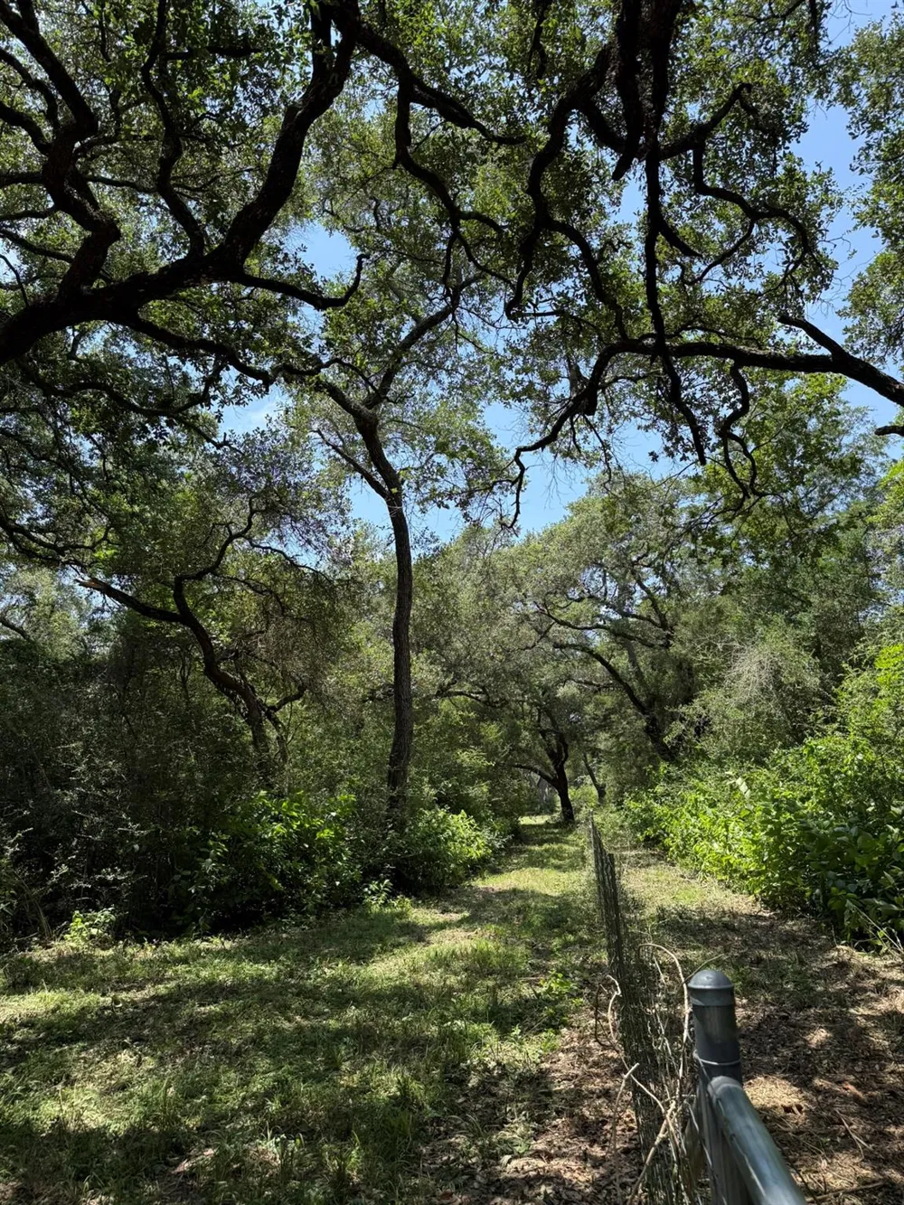 Rubin Lee Road Cat Spring, TX 78933