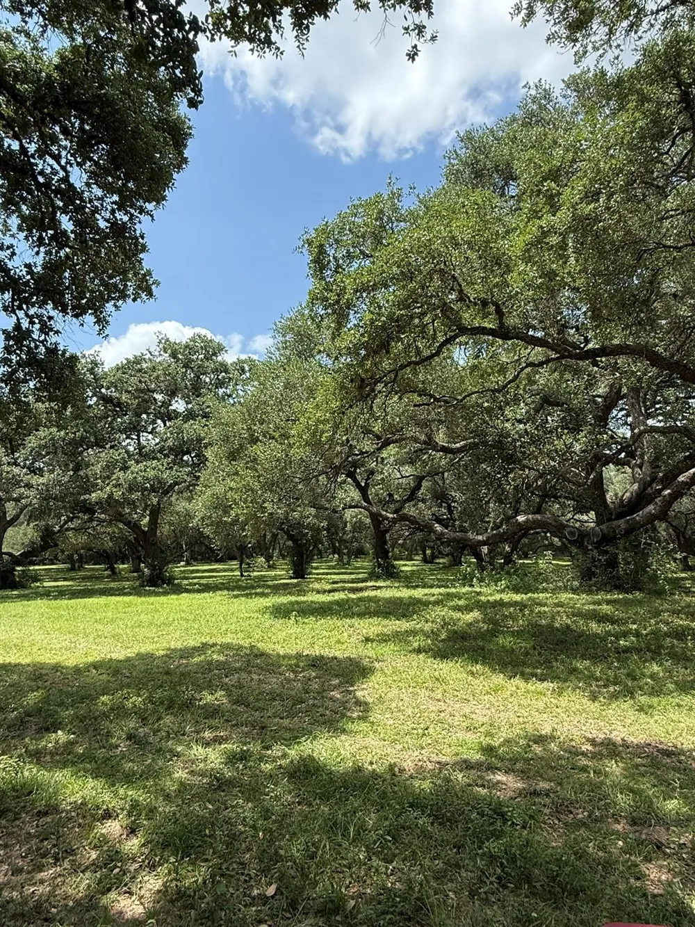 Rubin Lee Road Cat Spring, TX 78933