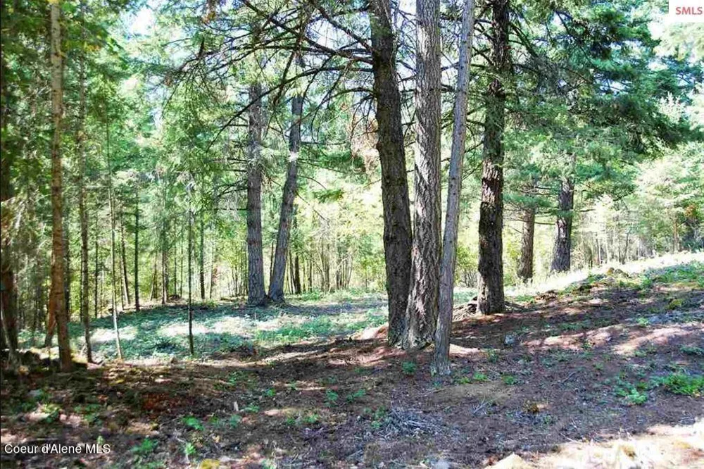 NKA Blue Grouse Road Sagle, ID 83860