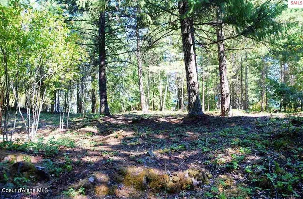 NKA Blue Grouse Road Sagle, ID 83860