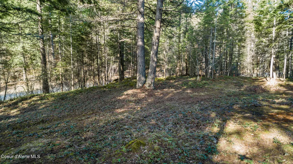 NKA Blue Grouse Road Sagle, ID 83860