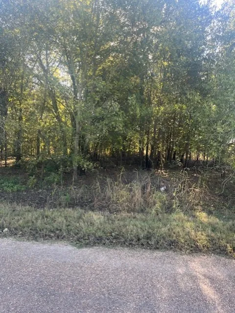 23 County Rd 316C