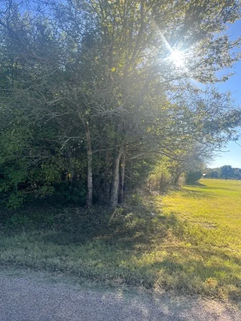 23 County Rd 316C Terrell, TX 75161