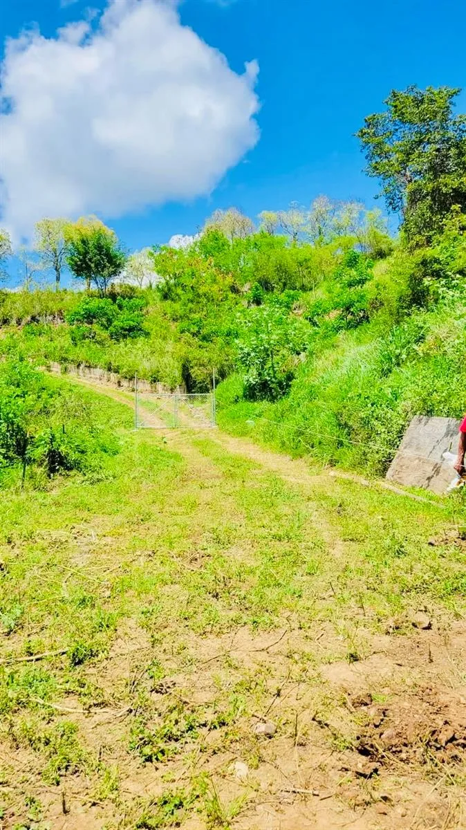 14 ROUTE #KM 41.0 Coamo, PR 00769