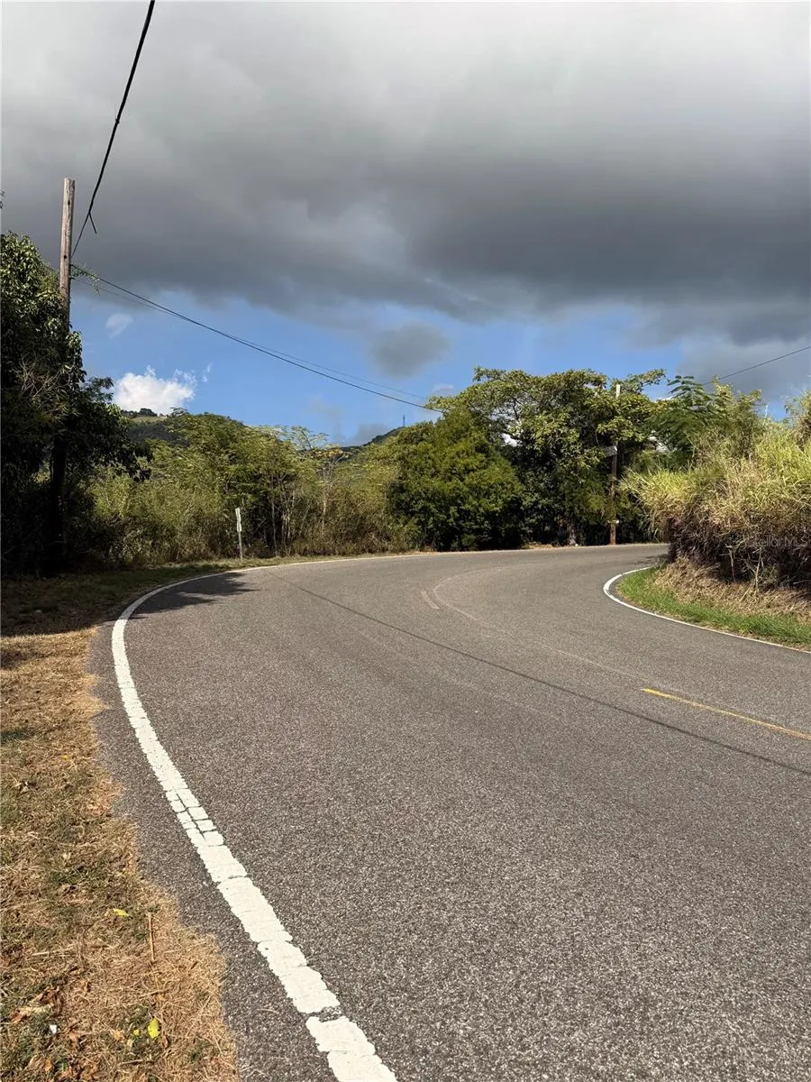 14 ROUTE #KM 41.0 Coamo, PR 00769
