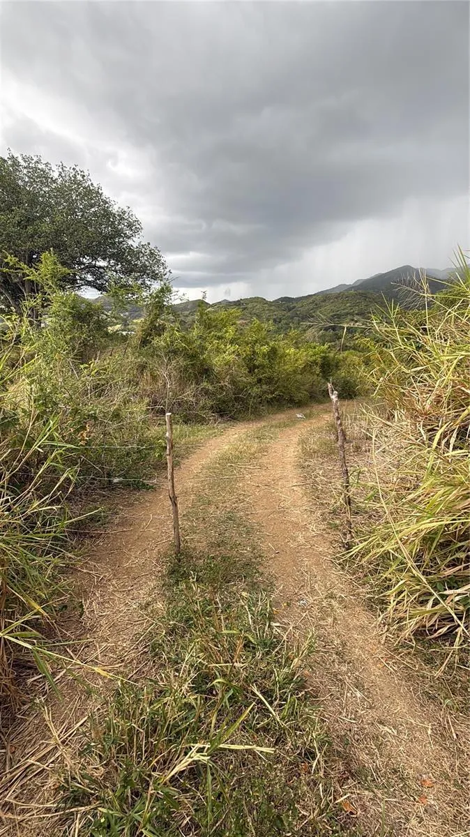 14 ROUTE #KM 41.0 Coamo, PR 00769
