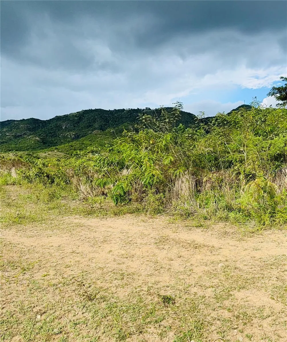14 ROUTE #KM 41.0 Coamo, PR 00769