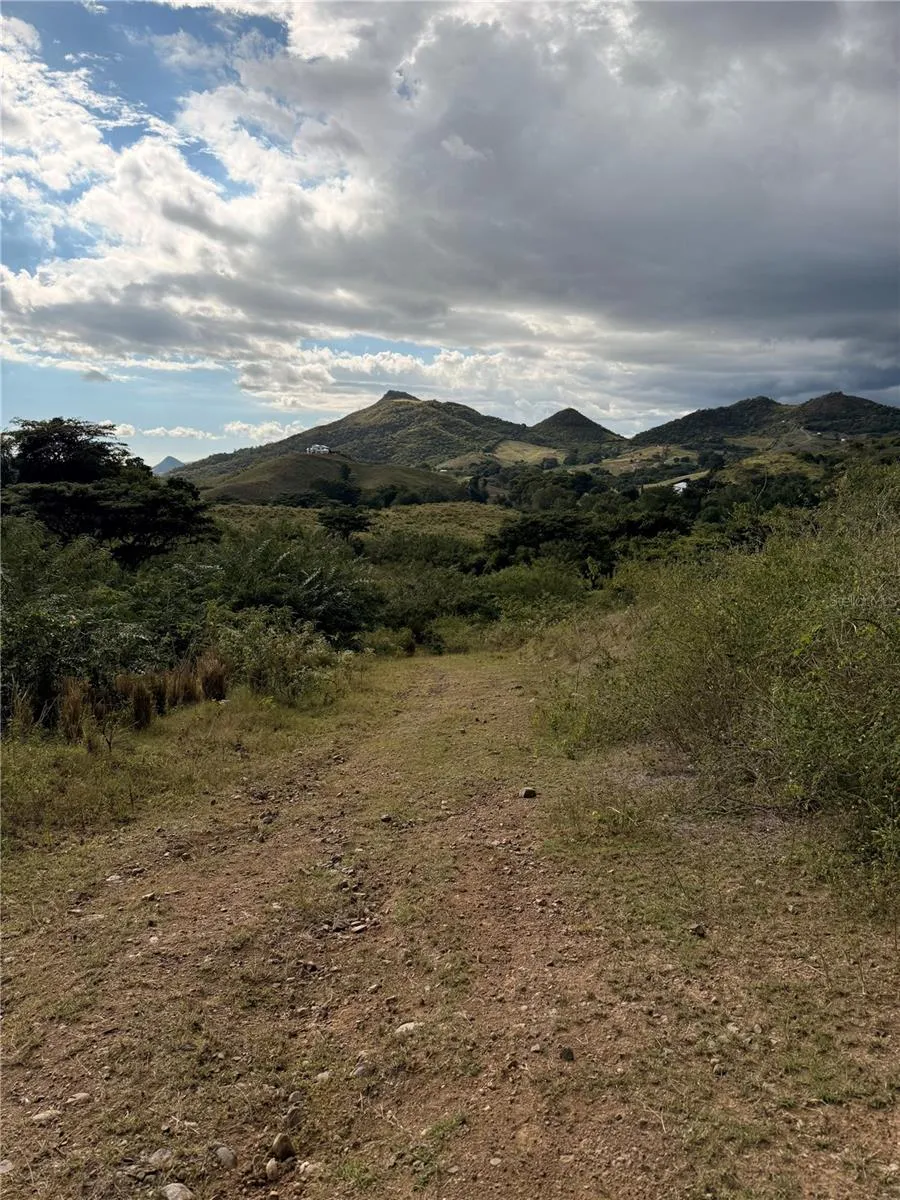 14 ROUTE #KM 41.0 Coamo, PR 00769