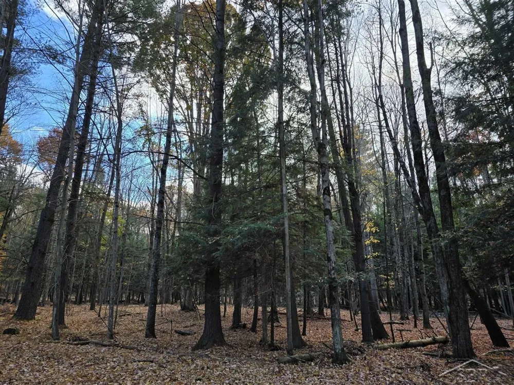 9191 Deerfield Court Morton Township, MI 49346