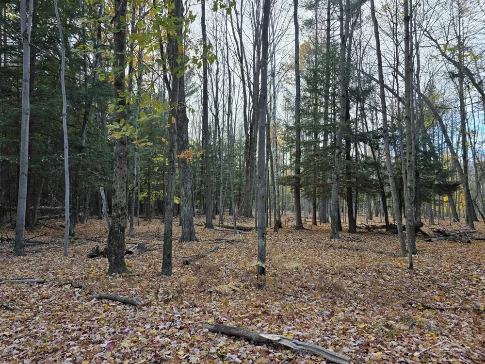 9191 Deerfield Court Morton Township, MI 49346