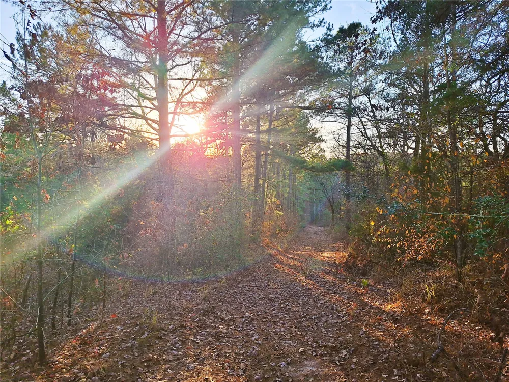 County Road 2920 Hughes Springs, TX 75656
