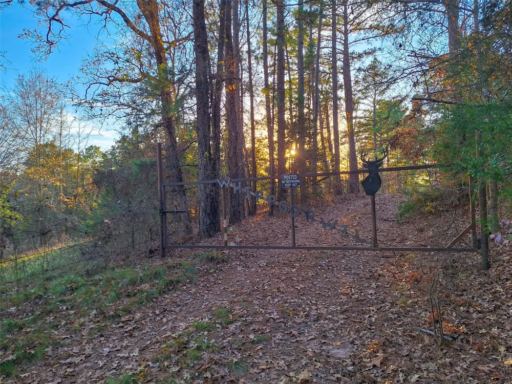 County Road 2920 Hughes Springs, TX 75656