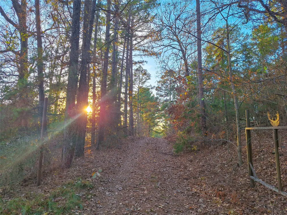 County Road 2920 Hughes Springs, TX 75656