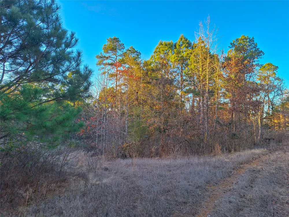 County Road 2920 Hughes Springs, TX 75656