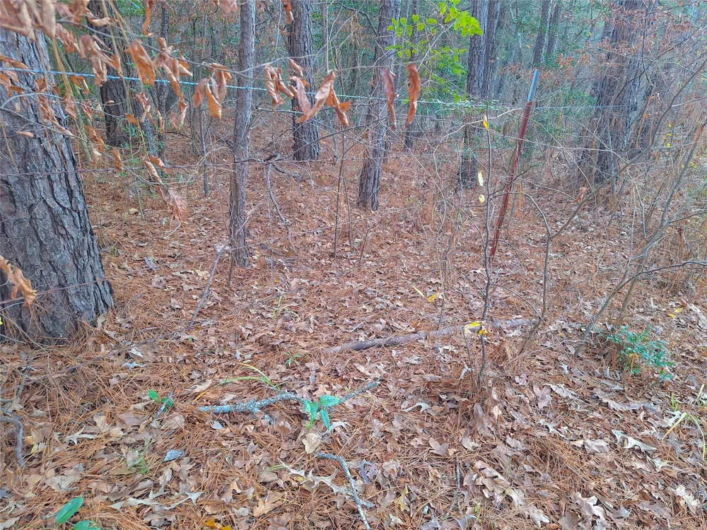 County Road 2920 Hughes Springs, TX 75656