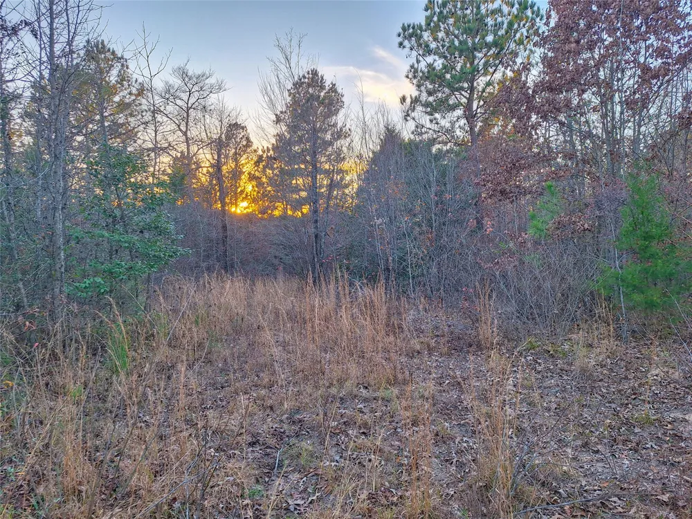 County Road 2920 Hughes Springs, TX 75656