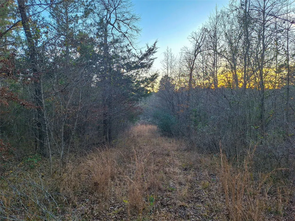 County Road 2920 Hughes Springs, TX 75656
