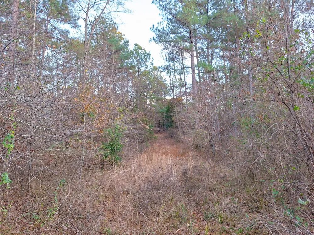 County Road 2920 Hughes Springs, TX 75656