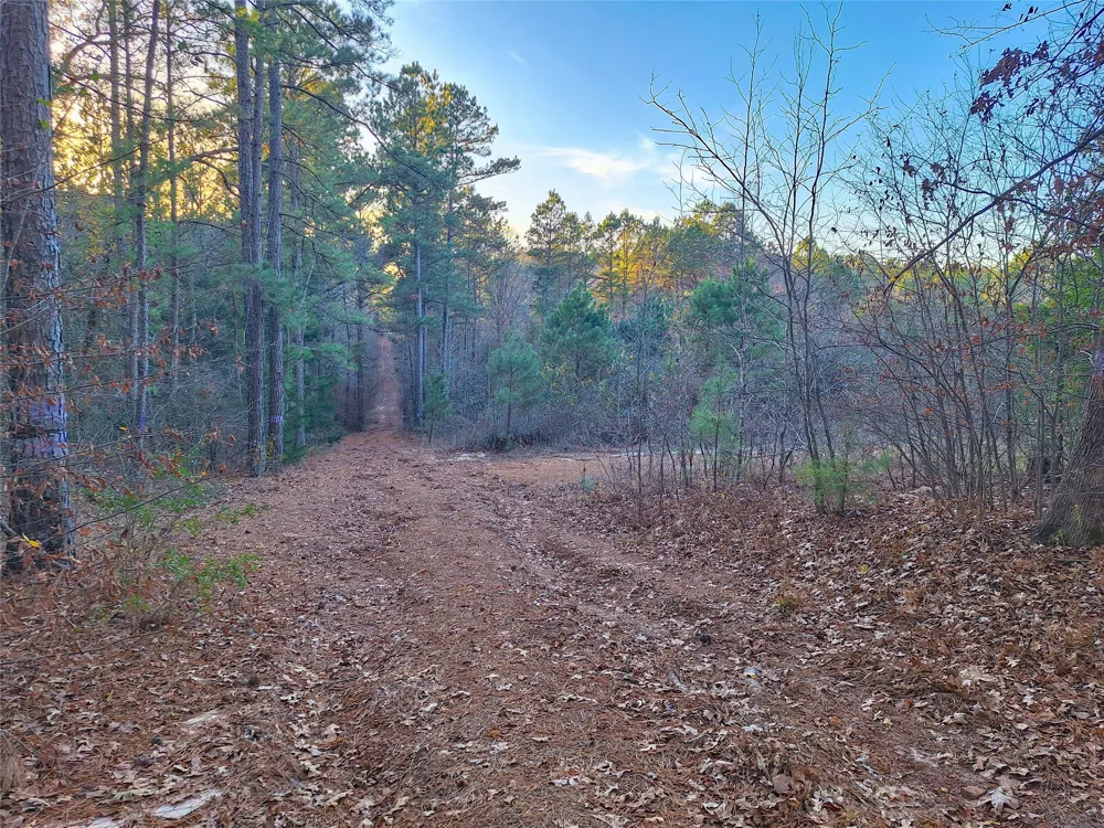 County Road 2920 Hughes Springs, TX 75656