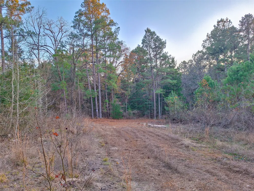 County Road 2920 Hughes Springs, TX 75656