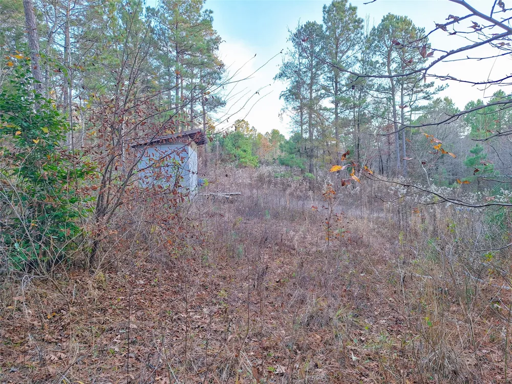 County Road 2920 Hughes Springs, TX 75656