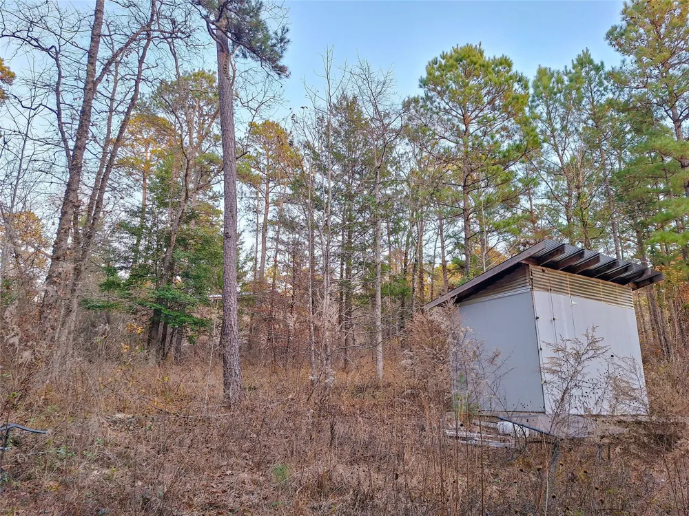County Road 2920 Hughes Springs, TX 75656