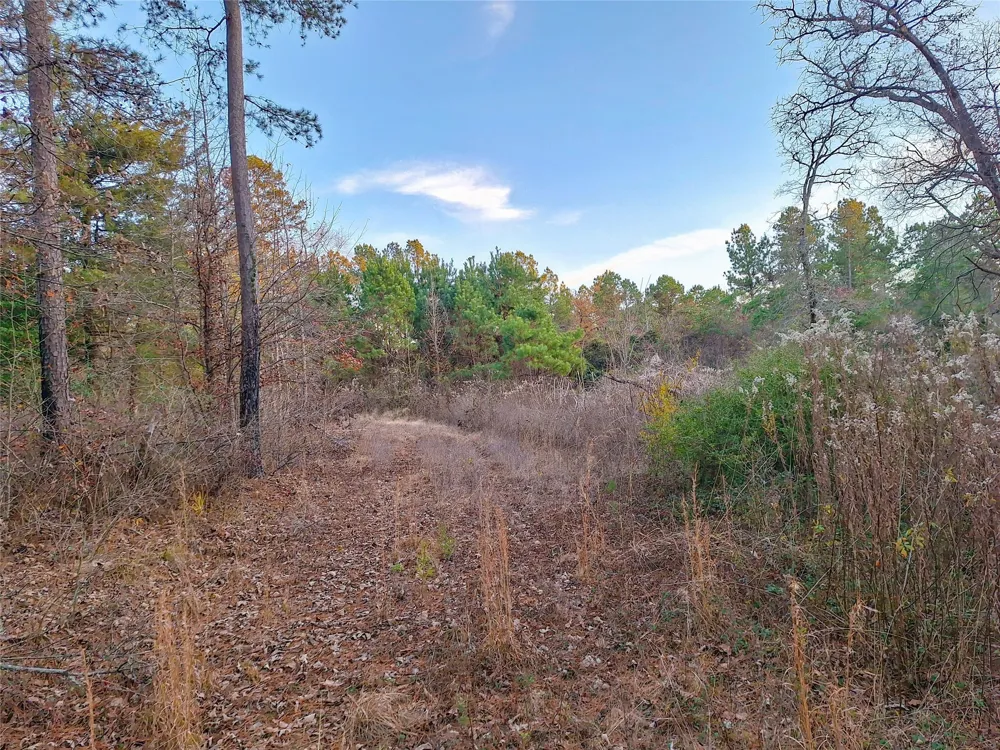 County Road 2920 Hughes Springs, TX 75656