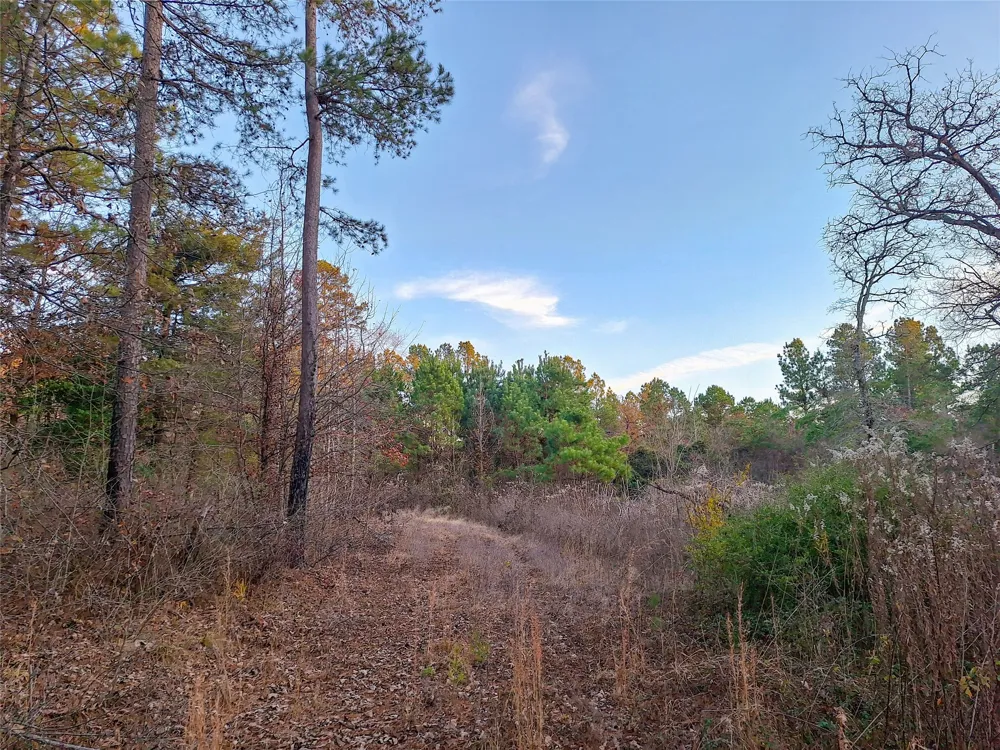 County Road 2920 Hughes Springs, TX 75656