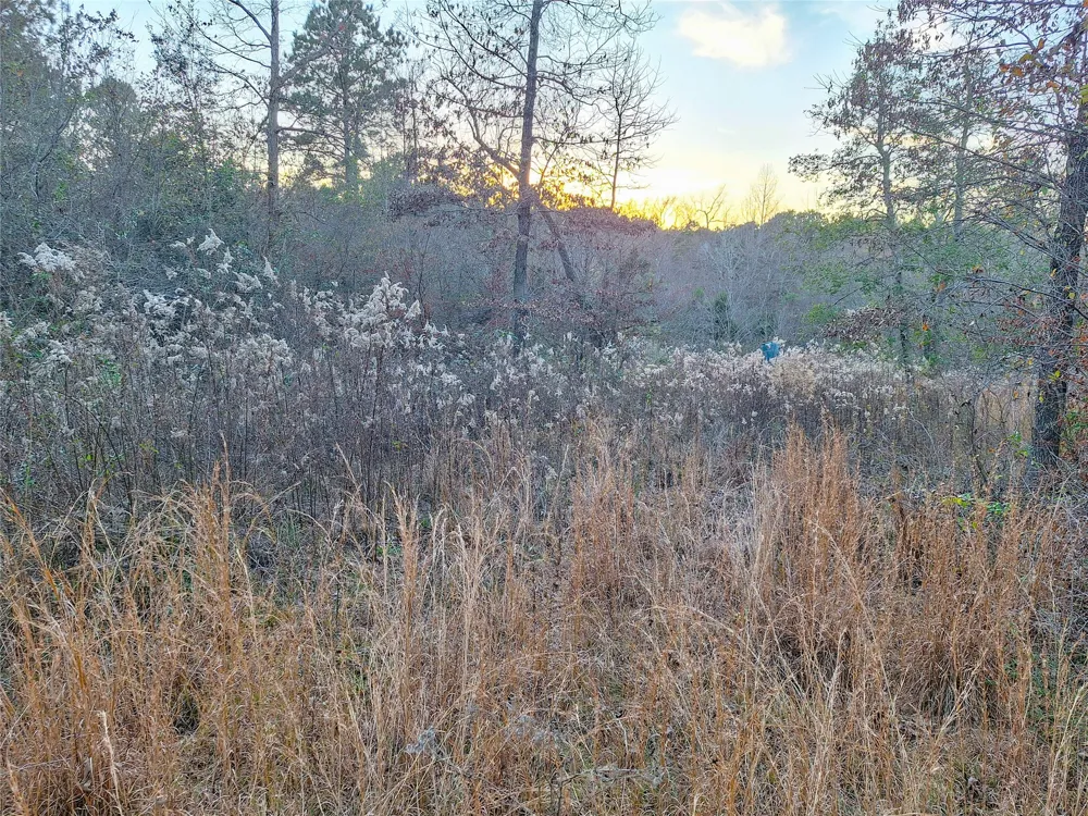 County Road 2920 Hughes Springs, TX 75656