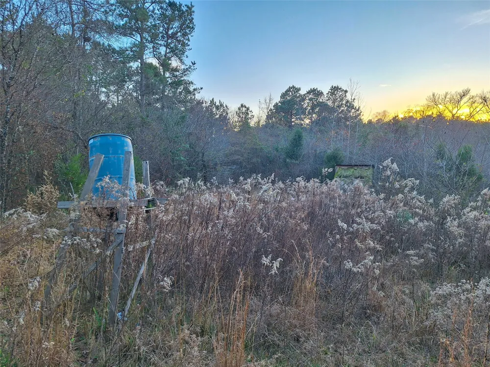 County Road 2920 Hughes Springs, TX 75656