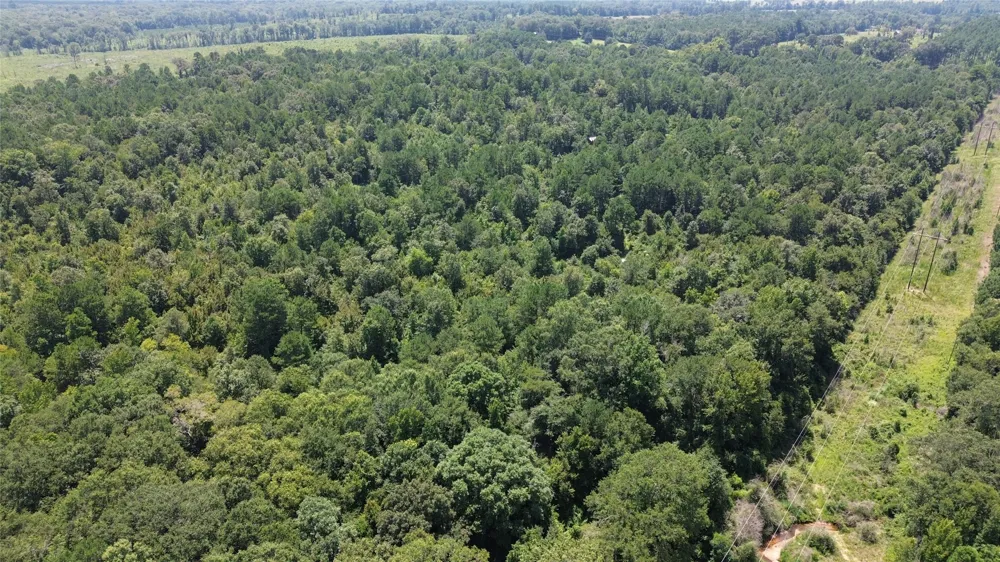 County Road 2920 Hughes Springs, TX 75656