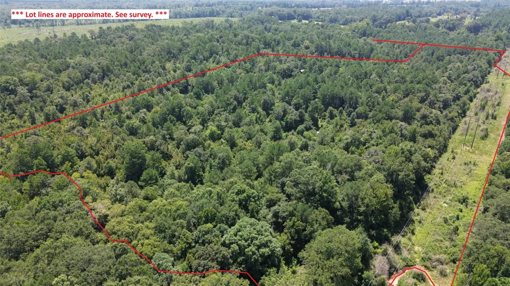 County Road 2920 Hughes Springs, TX 75656