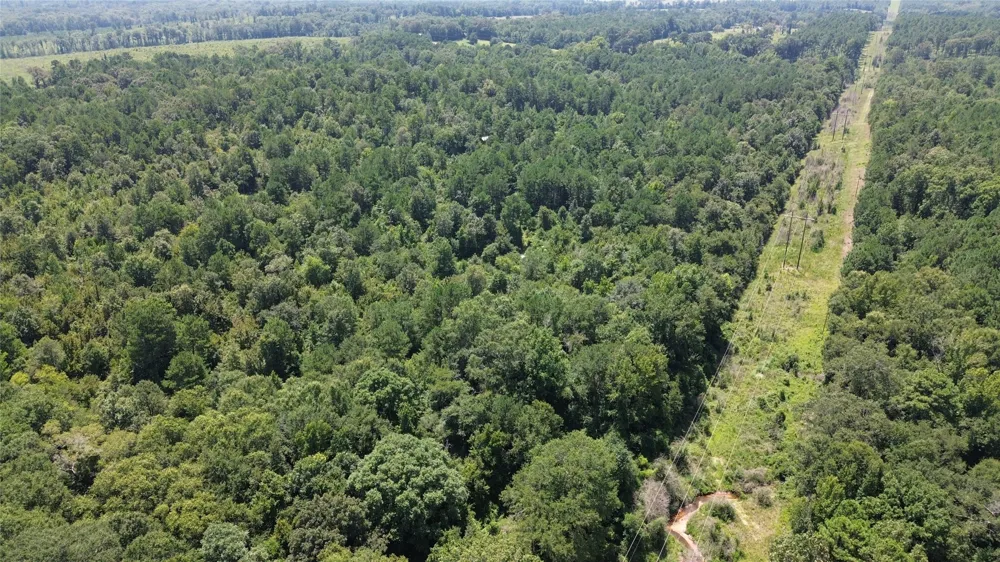 County Road 2920 Hughes Springs, TX 75656