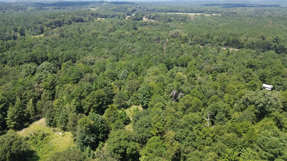 County Road 2920 Hughes Springs, TX 75656