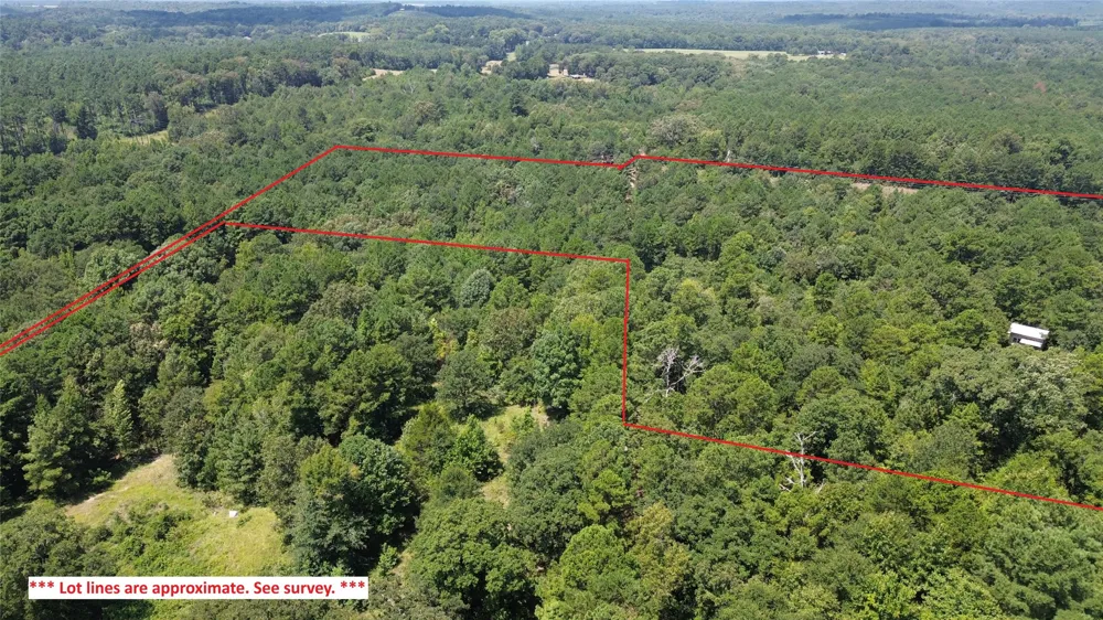 County Road 2920 Hughes Springs, TX 75656