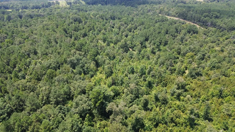 County Road 2920 Hughes Springs, TX 75656