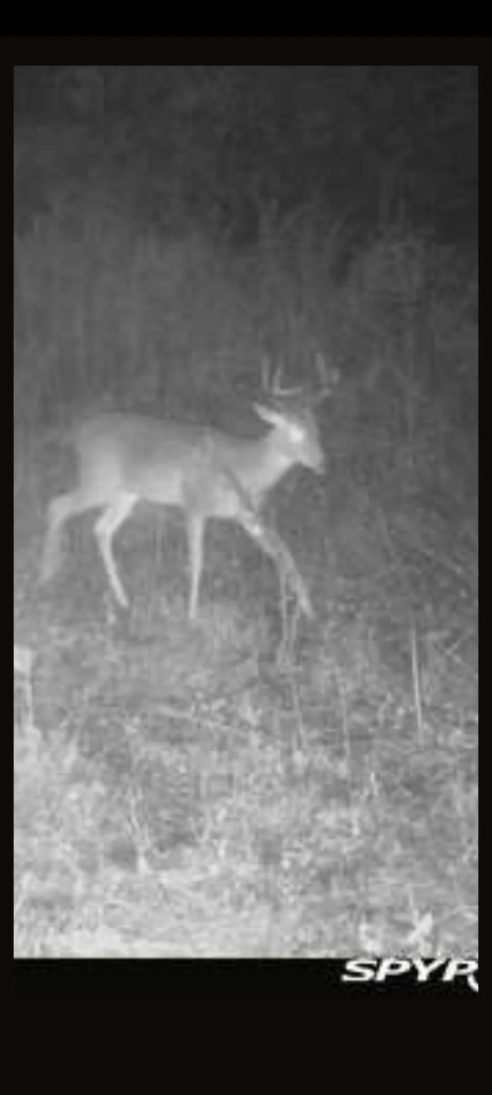 County Road 2920 Hughes Springs, TX 75656