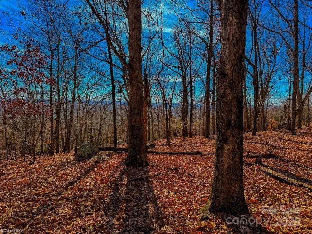 1644 Sierra Trace Road Denton, NC 27239