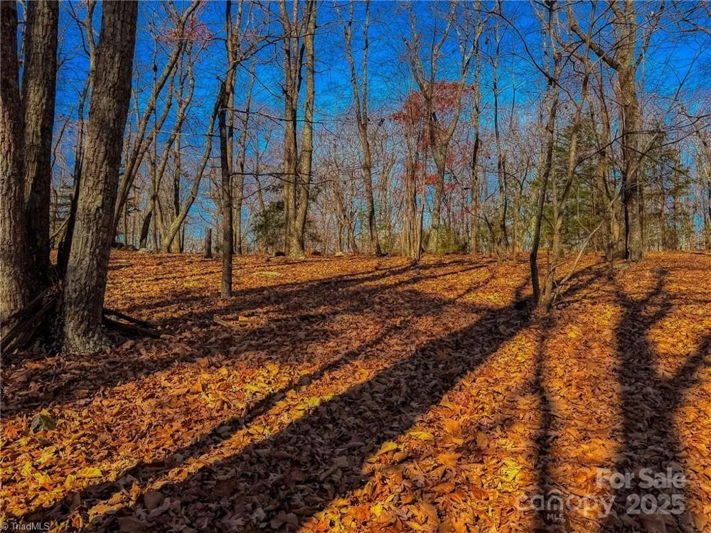 1644 Sierra Trace Road Denton, NC 27239