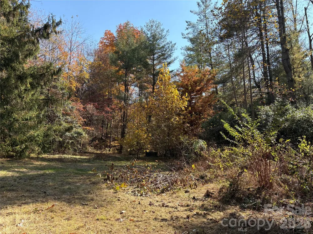 276 Cedar Creek Road Black Mountain, NC 28711